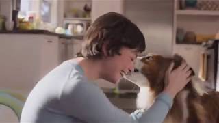 Beneful commercial with Phoebe from Shell by Usnavi not US Navy 6,260 views 6 years ago 31 seconds
