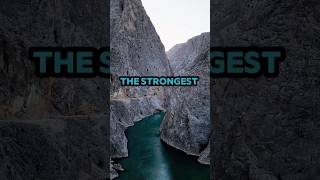 5 sentences that will make you rethink life #fyp #mindset