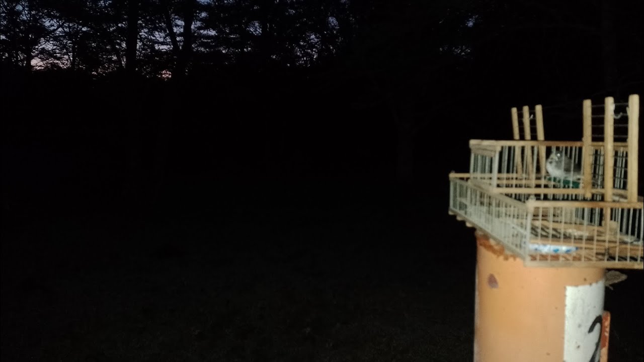 Temprano tramperas puestas! Varias capturas..