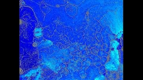 chain of visualisations