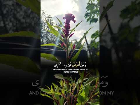 فمن اتبع هداي فلا يظ قوالب قران كريم عبدالله الجهني عامرالسعيدي
