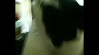 MOL003