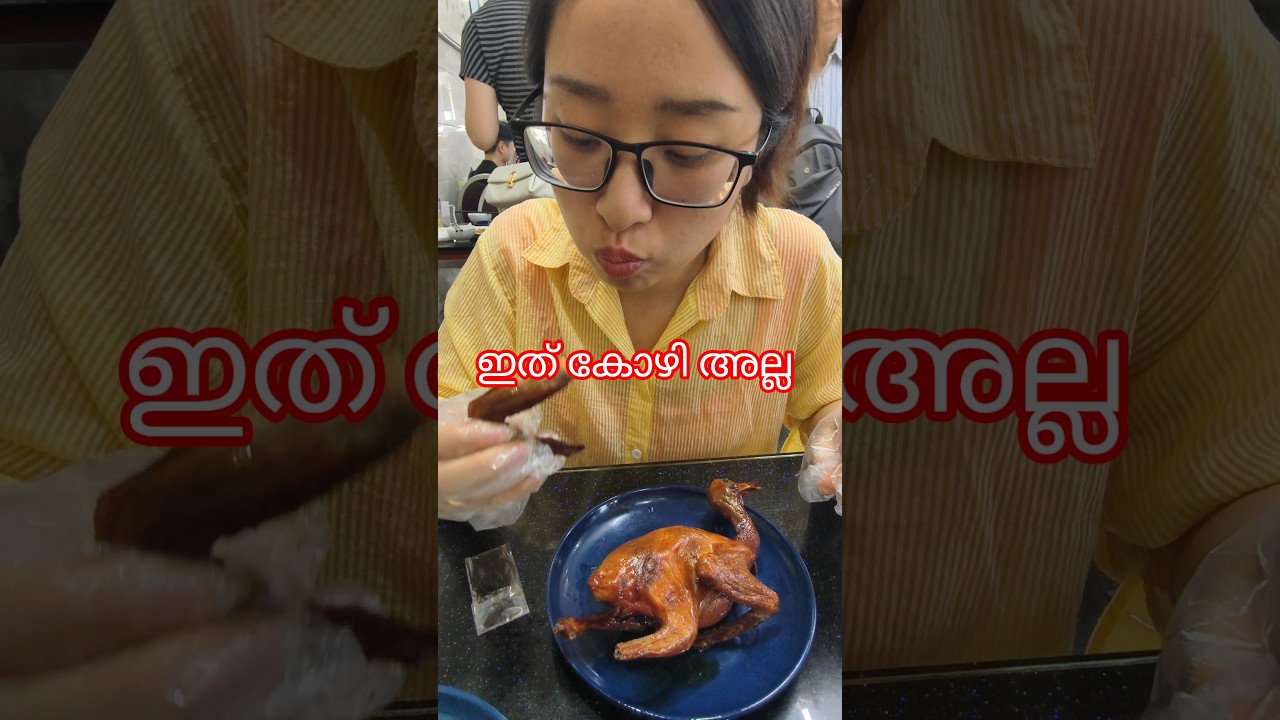 Guangdong special dish 