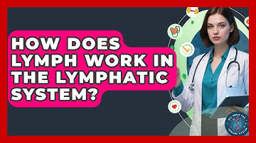 How Does Lymph Work In The Lymphatic System? - All About the Immune System