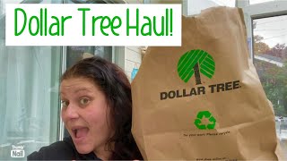 Dollar Tree Haul!! 🛍️ August 2, 2026