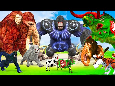 5 Giant Mammoth Elephant Cow Vs 5 Giant Lion Tiger Vs Giant King Kong Bull Zebra Saved Wolly Mammoth