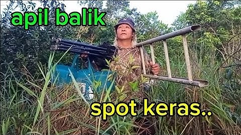 Apil balik mikat serindit di spot keras tompinai.