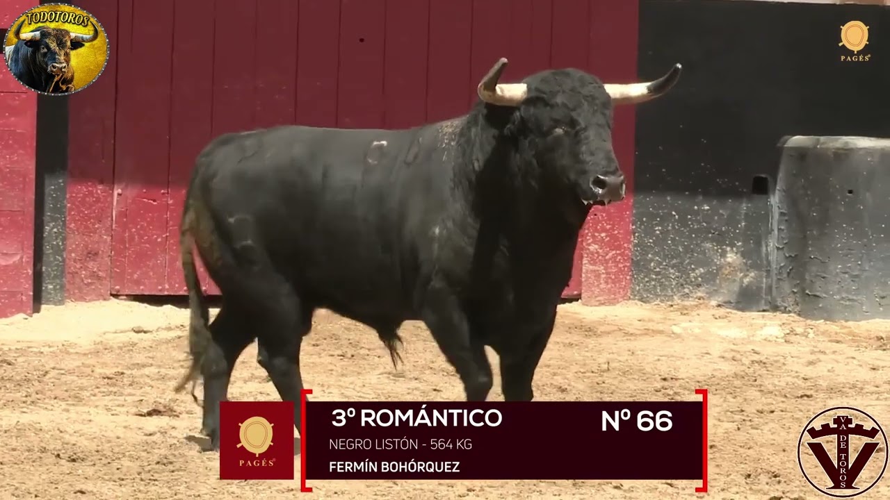 SORTEO| Toros de Fermín Bohórquez| Feria de Abril| Sevilla