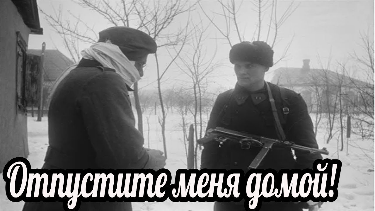 Немец авто 74