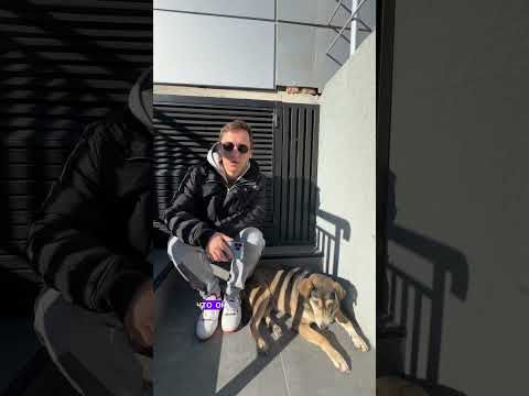 Началась глобальная блокировка