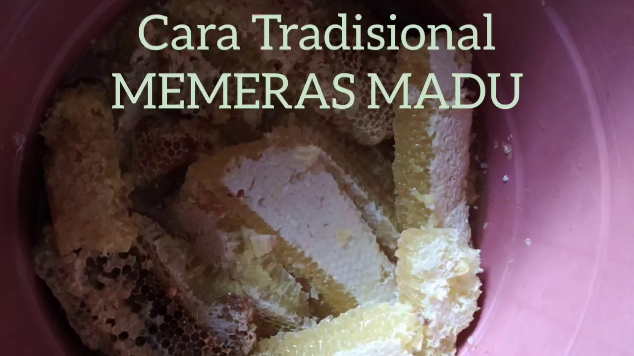Cara Memeras Madu Praktis dan Mudah