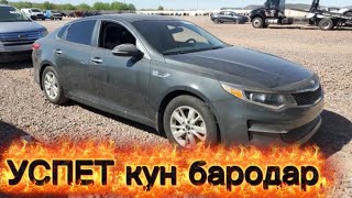 Рекордный НАРХ KIA OPTIMA 2016 vandalism