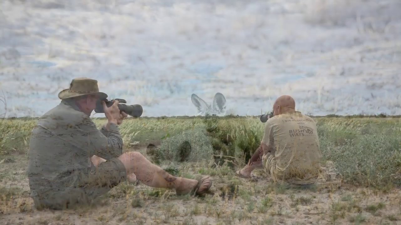 Central Kalahari Game Reserve - endless spaces