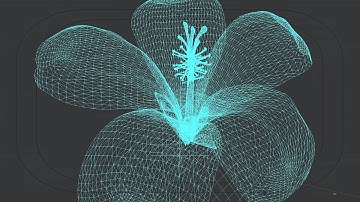 Animated hibiscus [Lightwave 3D]