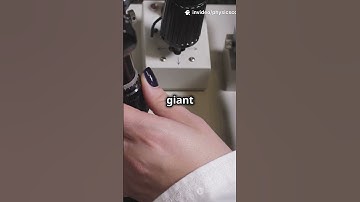 Quantum Evolution: Mind-Bending Amplitudes in 60 Seconds! #sciencefather #quantumphysics #science