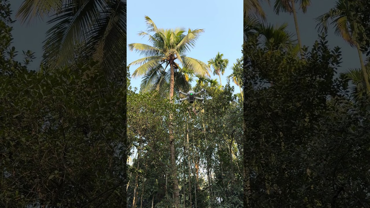 DJI Mini 2 SE with Rc-N1 Remote Controller | Quick takeoff my DJI 