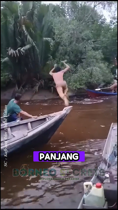 Berburu Buaya pemangsa #shorts #predator #buaya