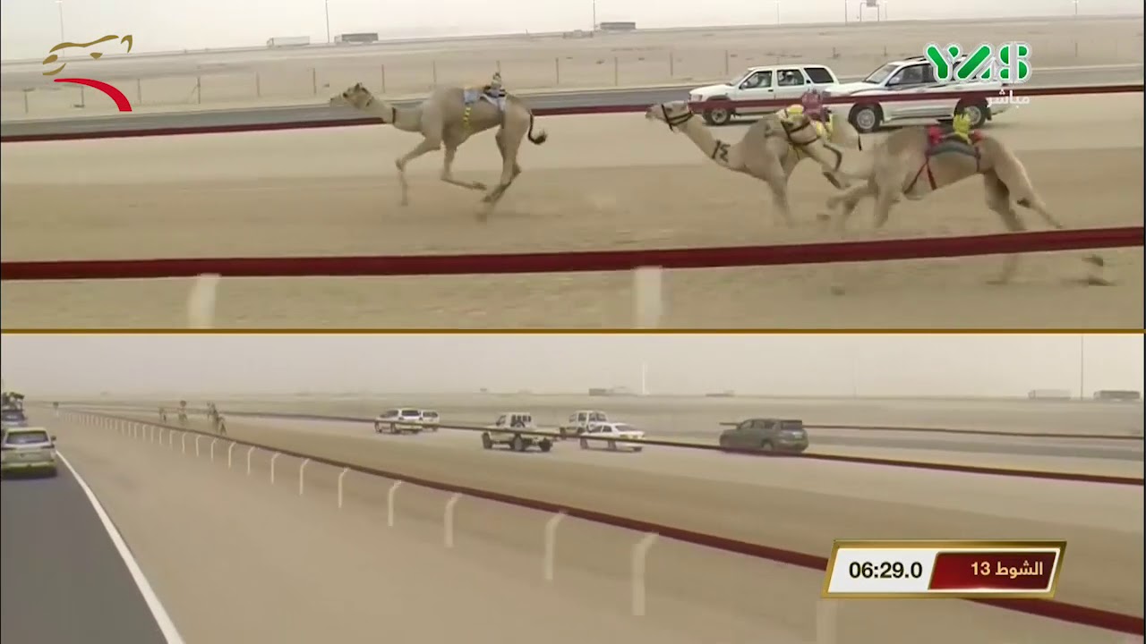 مهرجان ختامي الوثبة- حول وزمول للقبائل 1-3-2019 ص ش13 الفايز لـ سالم ناصر شافي القحطاني 13:32:2