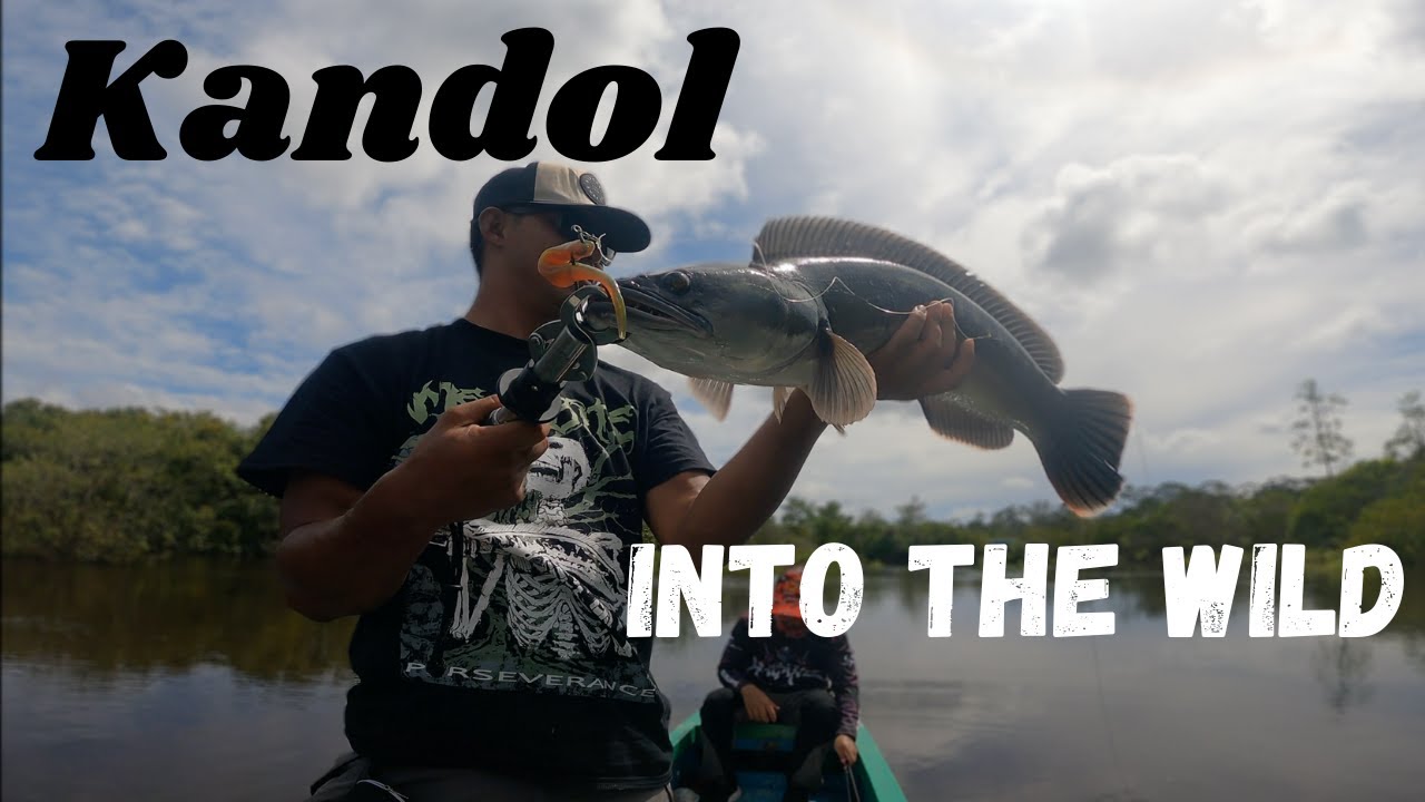 WILD Game..Hunting for Beast. Toman. Giant Snakehead. Bone voyage rod with Antares DC.