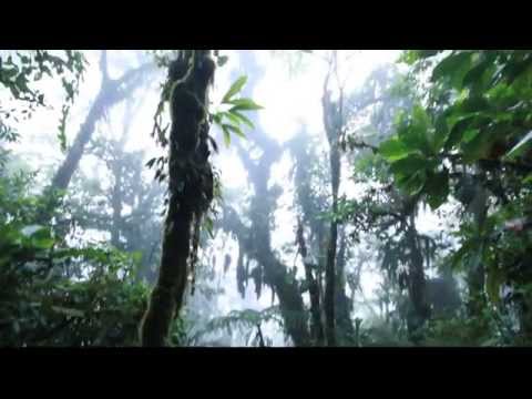 Cerro Chato Volcano Hike