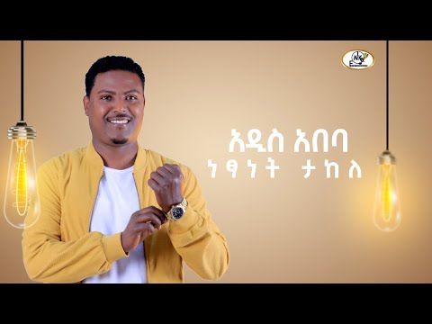 Netsanet Takele አዲስ አበባ Addis Ababa Track 6 New Ethiopian Music 2024