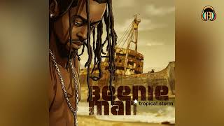 Beenie Man x Janet Jackson - Feel It Boy (slowed)
