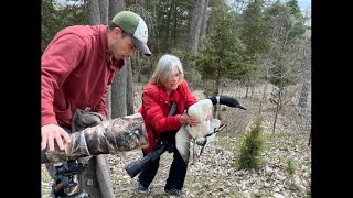 Loon Rescue