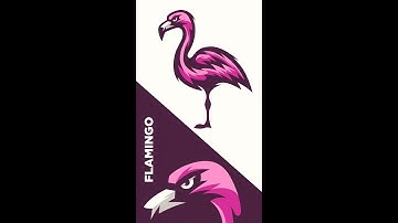 Flamingo Design Process