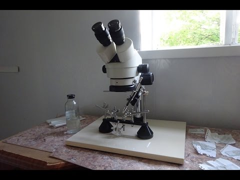 Купить Пчеломаток Искусственного Осеменения В Краснодарском Крае