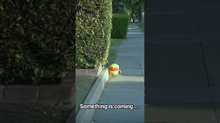 The Afreecatv Halloween Live Event Is Coming Next Week