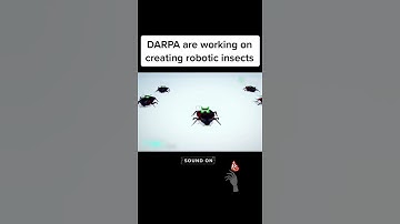 #short Bionic Robot Insect #short #insect #robot #robotics #AI #geoengineering #DARPA #technology