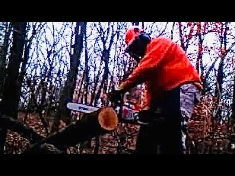 Using my new Stihl MS261C-M chainsaw for the very first time - YouTube