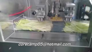 Down paper vegetable packing machine【full set stainless steel 304 model】