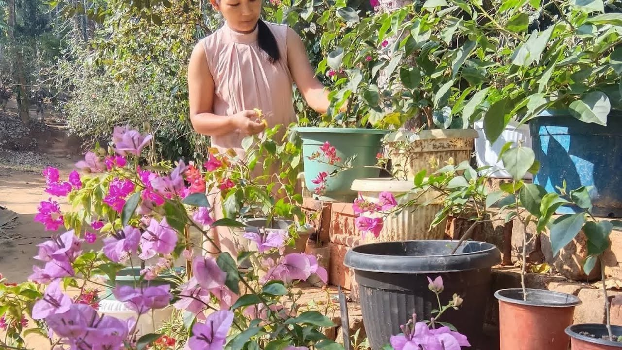 HII youtube family welcome mere live me