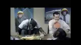 Careerbuilder.com Monkey Business Business Board Meeting