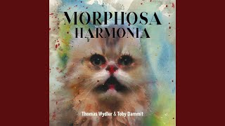 Download Lagu Rendezvous in Bavois MP3