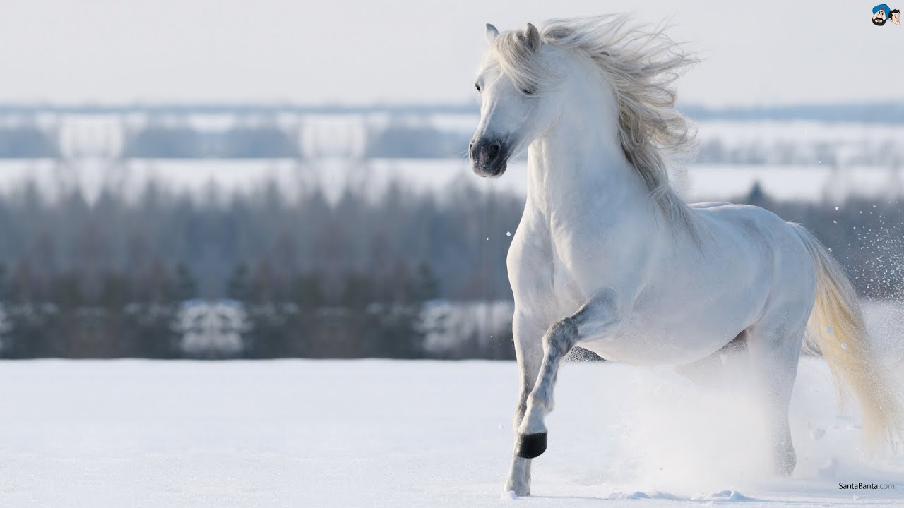 Our wonderful world! (Beautiful Music & Beautiful video)