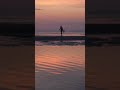يا تونس يا تاج الأوطان أغنية تهز المشاعر  