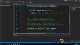 Redirect command line output in SSIS script task