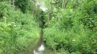 Toby Fifield Walks On Water...