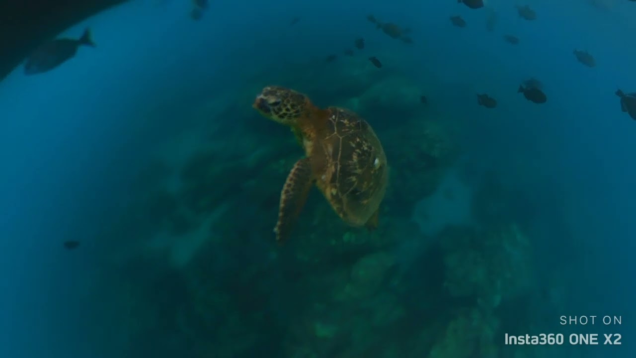 1080 Makana Boat Tour - Napali Coast, Kauai, Hawaii