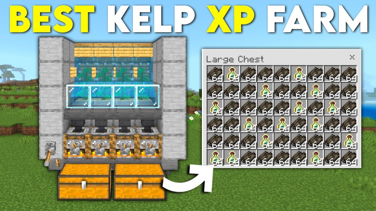 THE BEST KELP XP FARM TUTORIAL In Minecraft Bedrock 1.21!