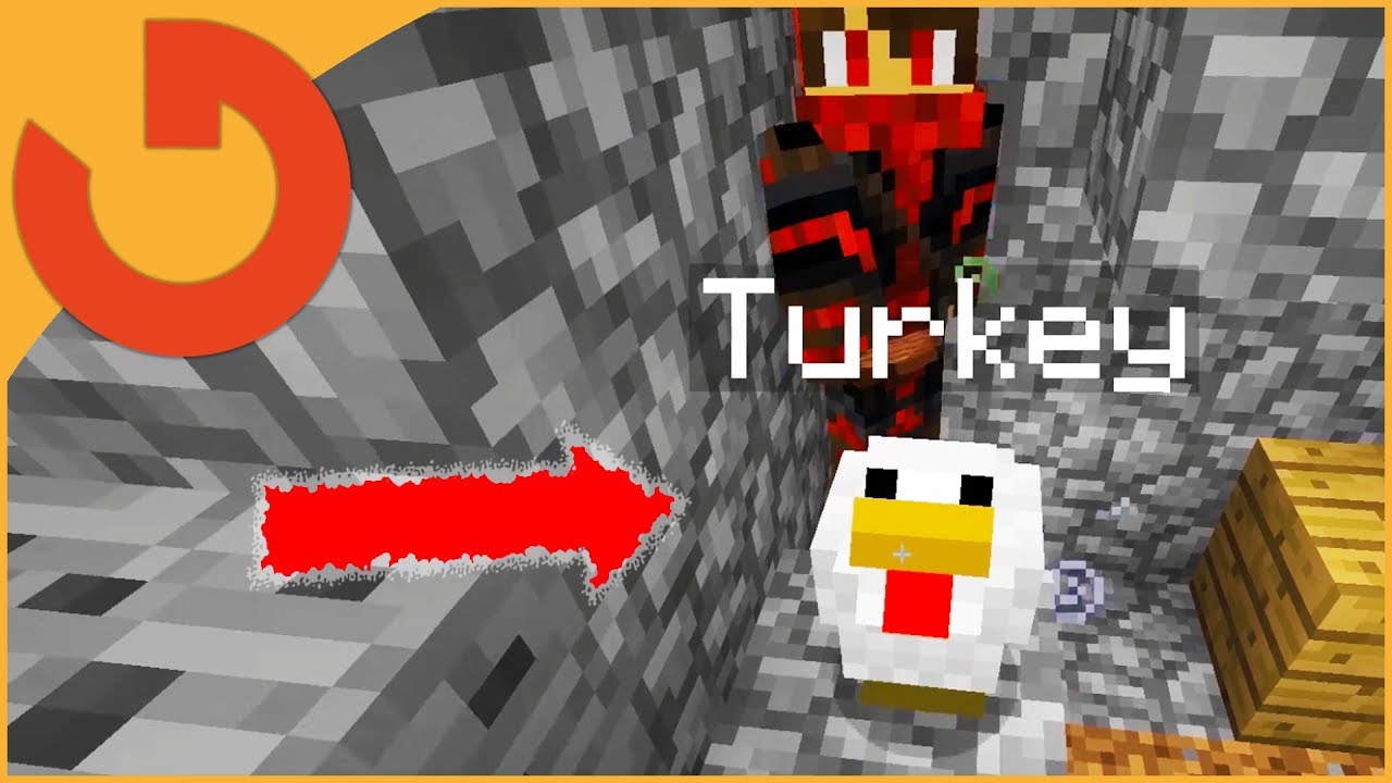 I BET YOU'VE NEVER SEEN TURKEYS THAT EAT PLAYERS! - YouTube