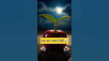 The Zebra Who Saved the Apple Tree 😭🍎🦓#ai​ #tree​ #save​ #bees #aistory#ai