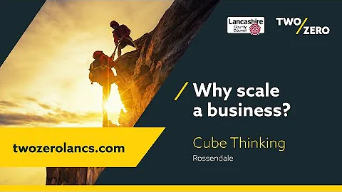 Scaleup Insights: Why scale a business?