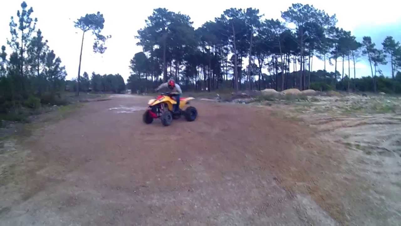 polaris 400cc 2 stroke