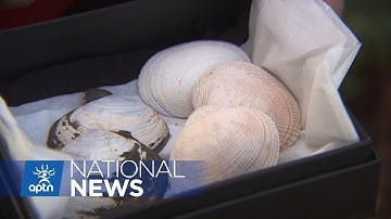 BC health officials warn public of infected shellfish | APTN News