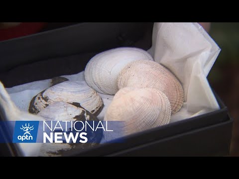 BC health officials warn public of infected shellfish APTN News