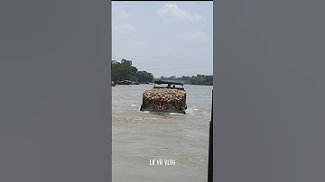 #short.ghe chở dừa vượt cống