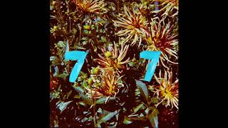 B77 - Child